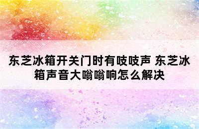 东芝冰箱开关门时有吱吱声 东芝冰箱声音大嗡嗡响怎么解决